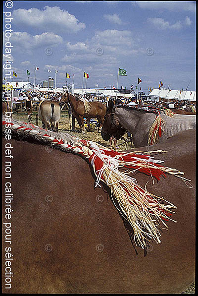 agriculture